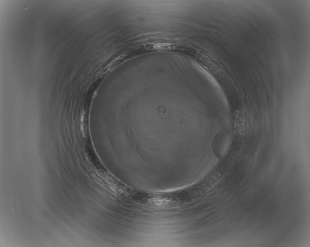 X0000078840650200612041840