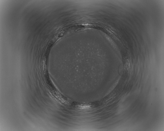 X0000078840651200612041840