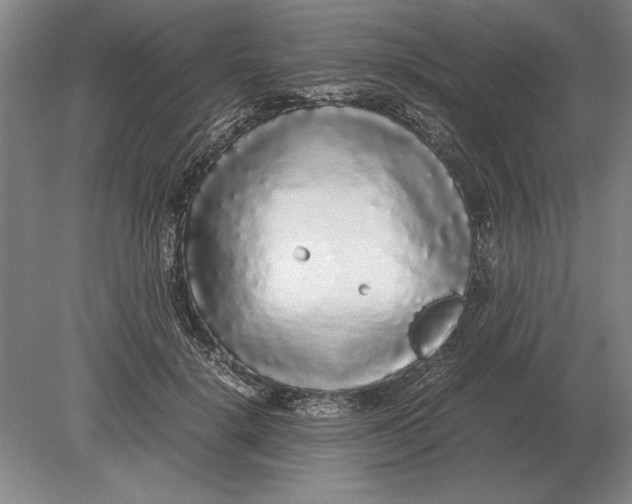 X0000078840652200612041840