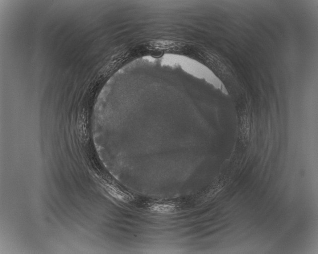 X0000078840653200612041841