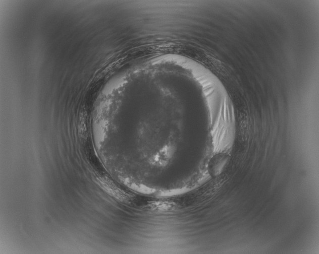 X0000078840654200612041841