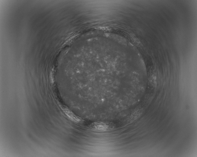 X0000078840658200612041841