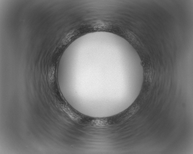 X0000078840660200612041841