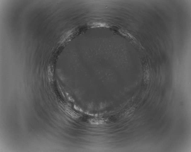 X0000078840661200612041841