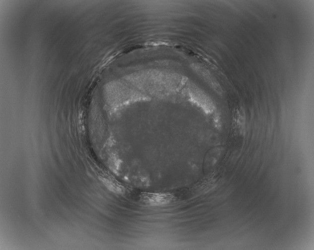 X0000078840663200612041841