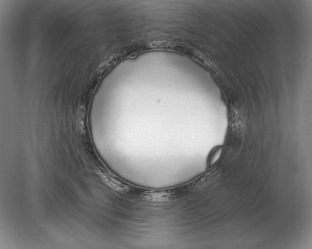 X0000078840664200612041841