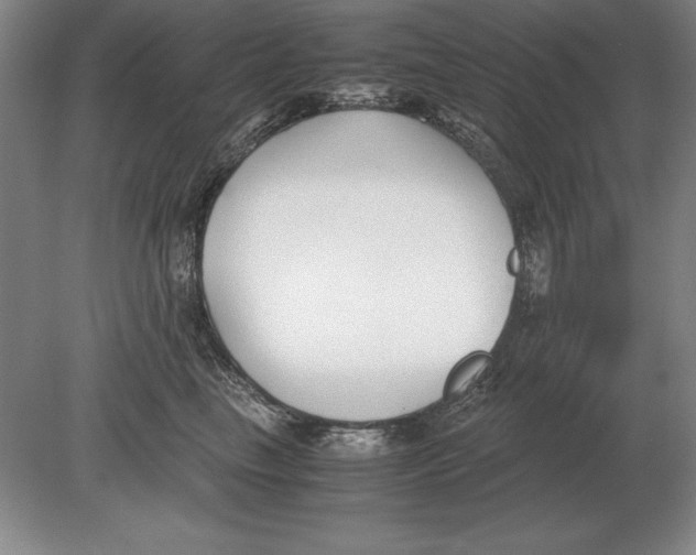 X0000078840665200612041841