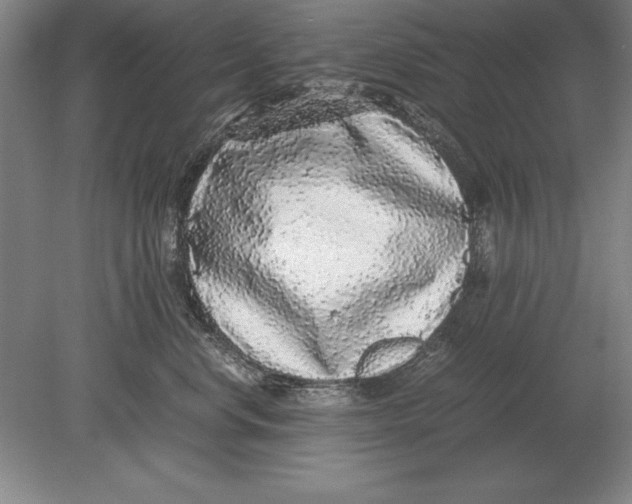 X0000078840668200612041841