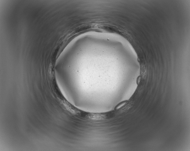 X0000078840670200612041841