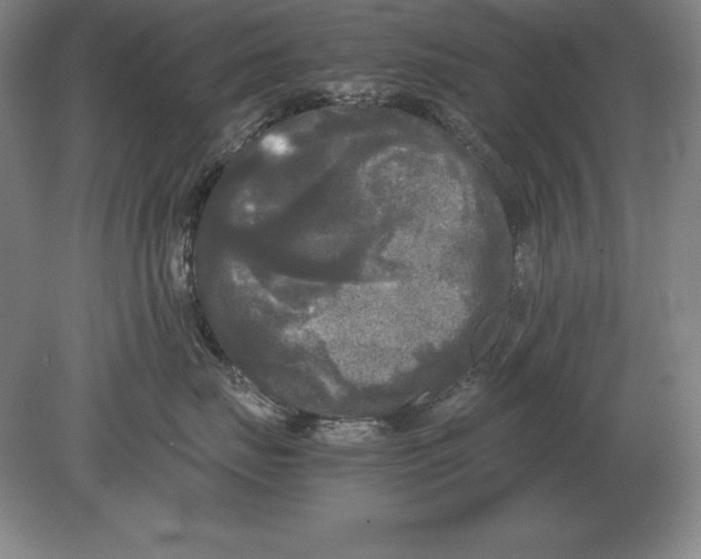 X0000078840671200612041841