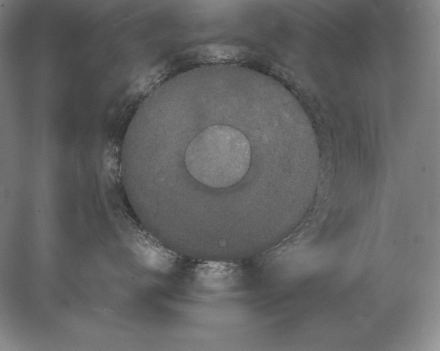 X0000078840672200612041841