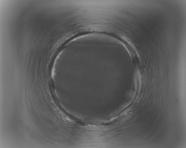 X0000078840673200612041840