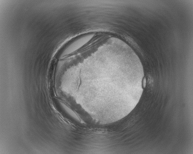 X0000078840676200612041840