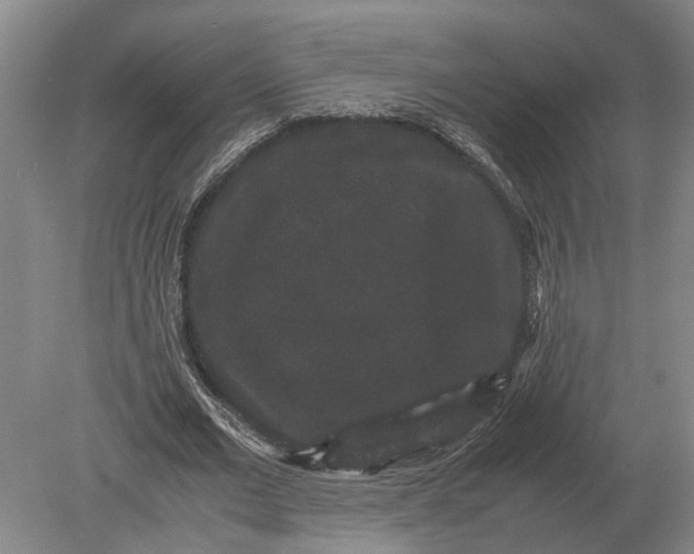 X0000078840677200612041840