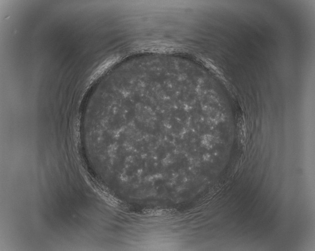 X0000078840679200612041840