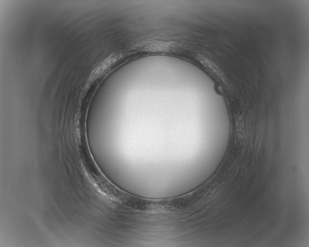 X0000078840682200612041840