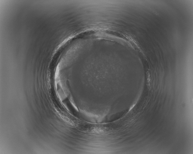 X0000078840684200612041840