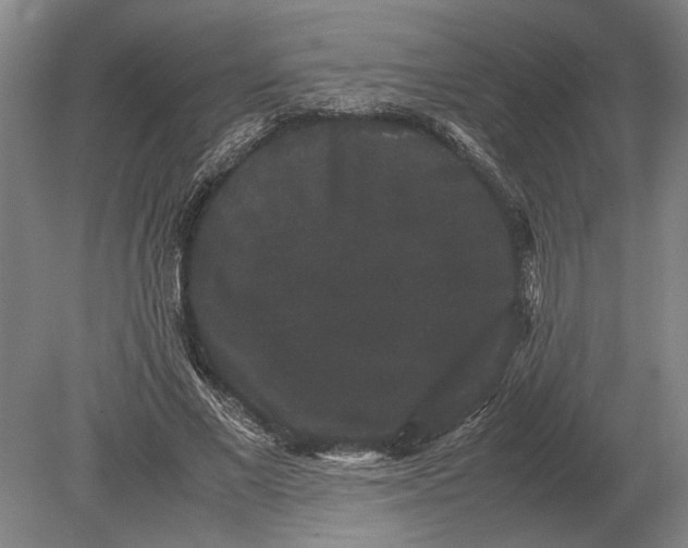 X0000078840685200612041840