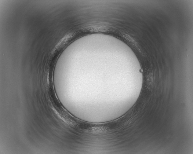 X0000078840686200612041840