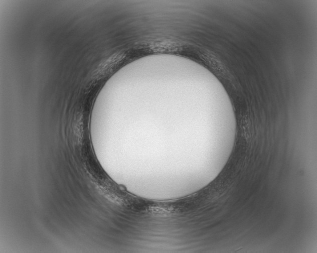 X0000078840690200612041840