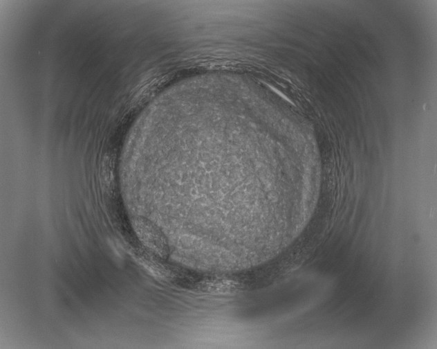 X0000078840695200612041840