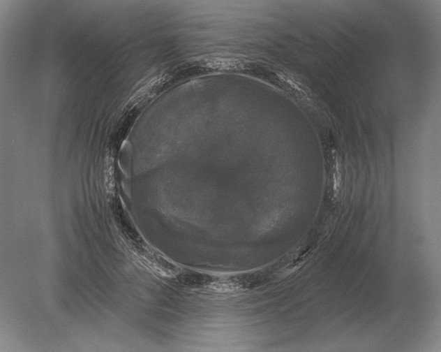 X0000078840696200612041840