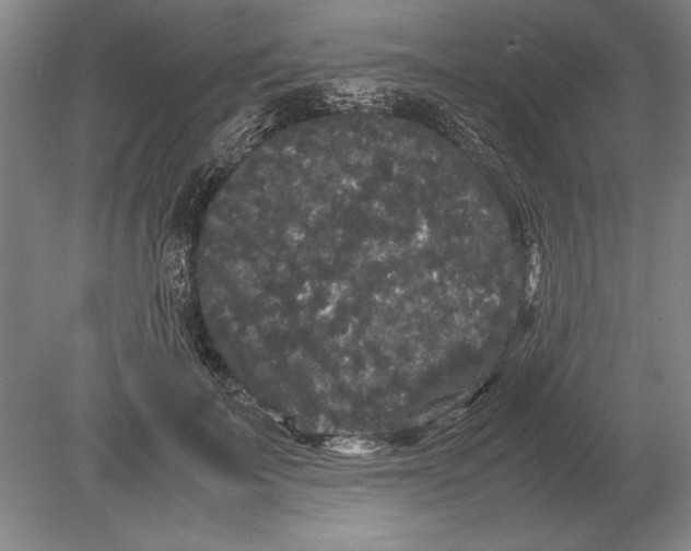 X0000078840699200612041840