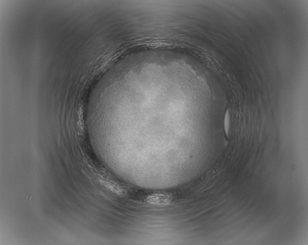 X0000078840700200612041840