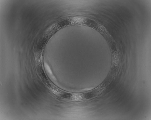 X0000078840701200612041840