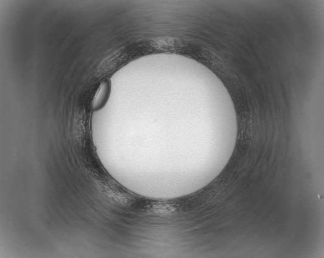 X0000078840702200612041840