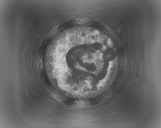 X0000078840703200612041839