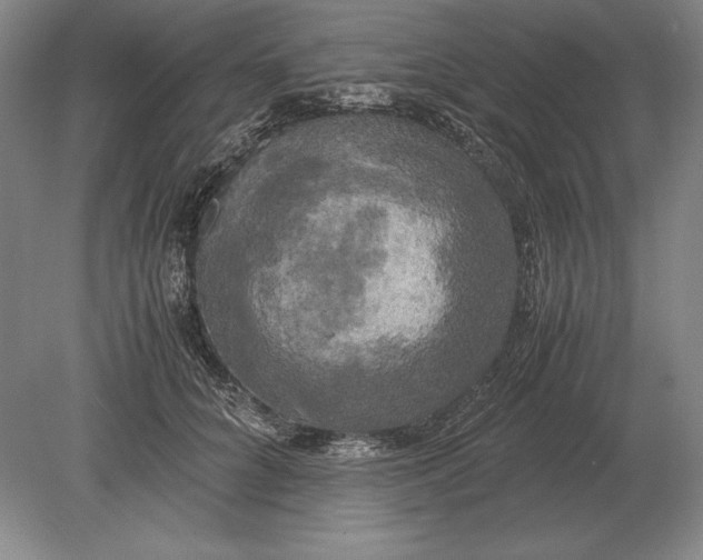 X0000078840704200612041839