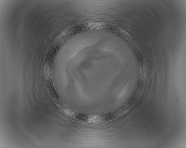 X0000078840705200612041839