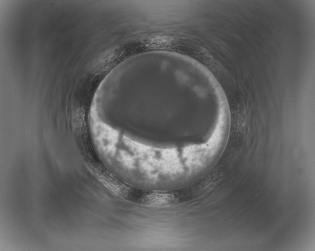 X0000078840711200612041839