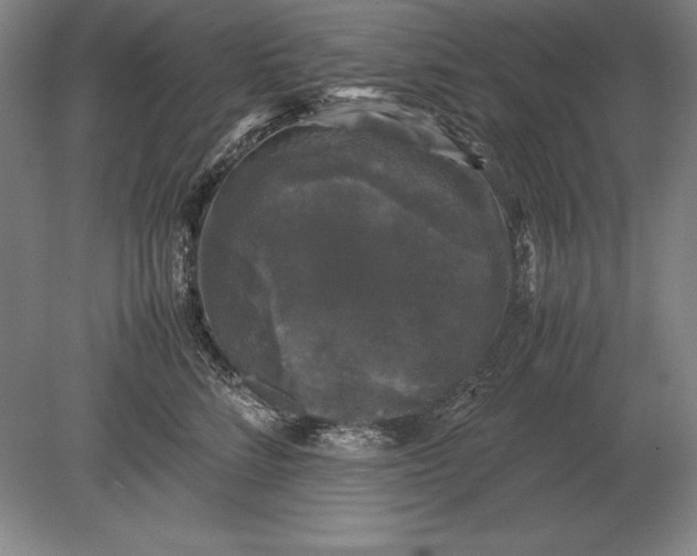 X0000078840712200612041839