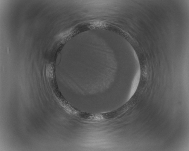 X0000078840715200612041839