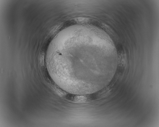 X0000078840717200612041839