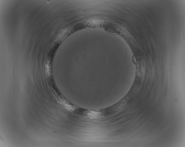 X0000078840718200612041839