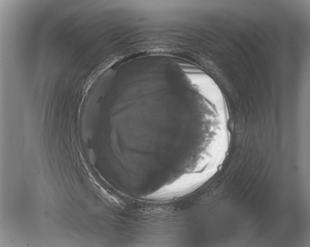 X0000078840721200612041838