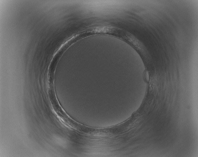 X0000078840722200612041838