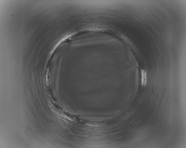 X0000078840723200612041838