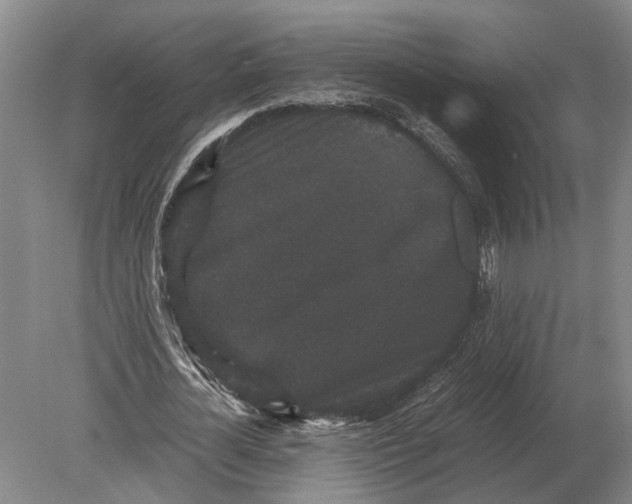 X0000078840724200612041838