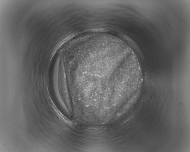 X0000078840725200612041838