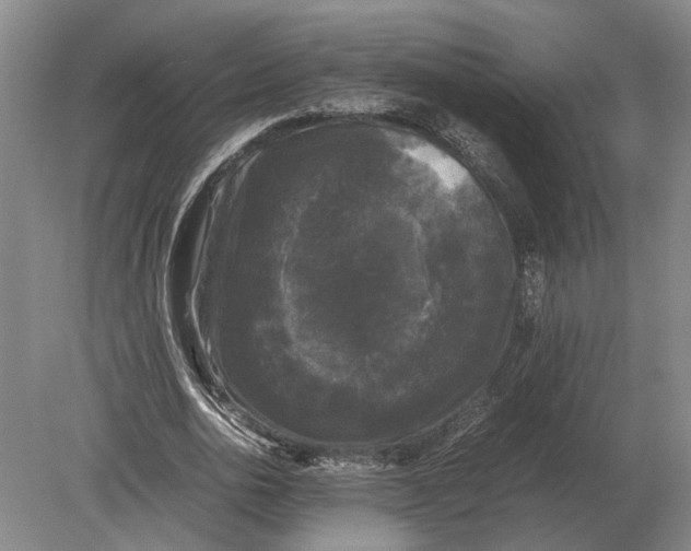 X0000078840726200612041838