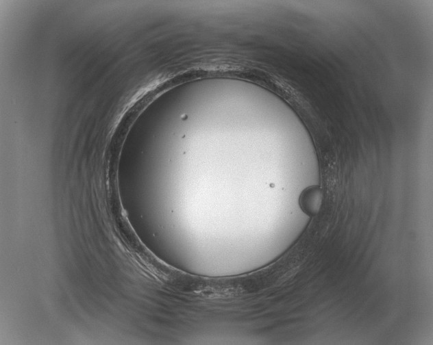 X0000078840727200612041838