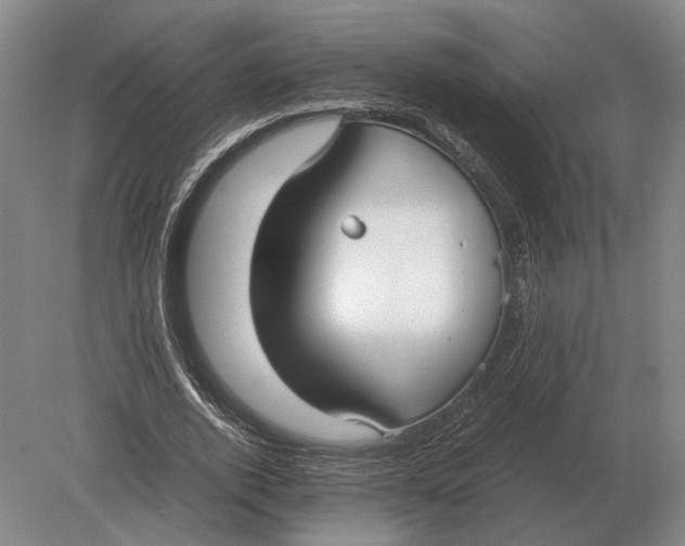 X0000078840728200612041839