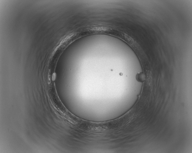 X0000078840731200612041839