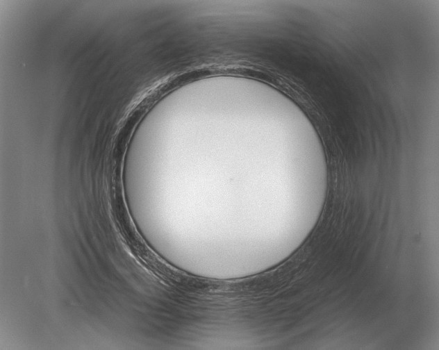 X0000078840732200612041839