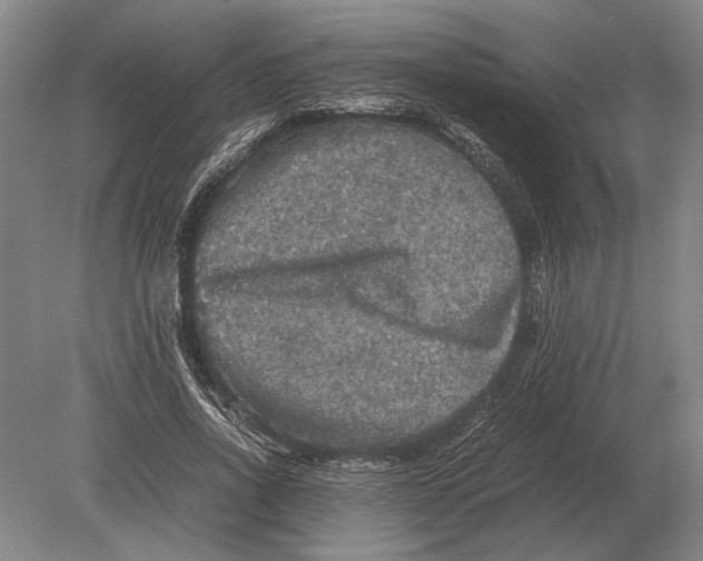 X0000078840734200612041839