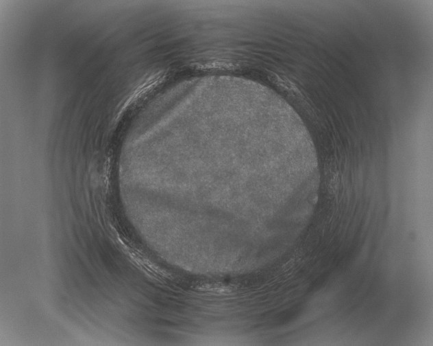 X0000078840735200612041839